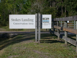 Album: Stokes Landing